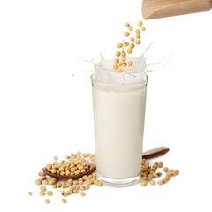 Soy beans falling from wooden scoop into glass of plant milk on white background