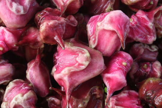 Water Chestnut Trapa natans fruit on shop