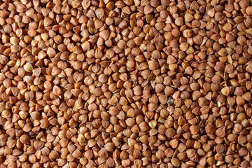 Dry Uncooked Brown Buckwheat Groats Background - Top View, Flat Lay. Raw Large Buckwheat Grains. Russian, Ukrainian and Belarusian Culture
