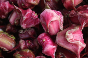 Water Chestnut Trapa natans fruit on shop
