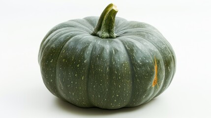 A Single Green Speckled Pumpkin with a Twisted Stem