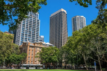 A view of modern skyscrapers and lush green trees in a city park.