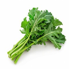 A bunch of fresh green kale, ready to be cooked.