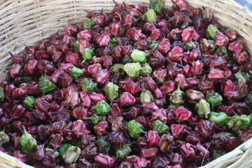 Water Chestnut Trapa natans fruit on shop