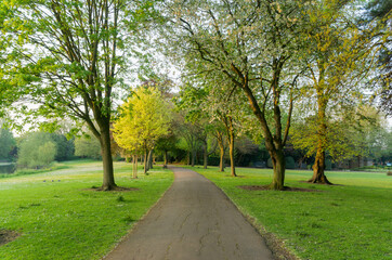 path in the park