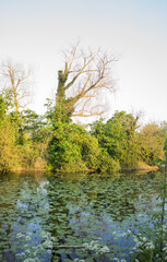 Obraz premium autumn in the park