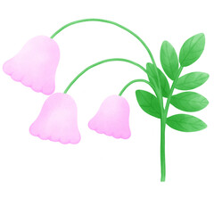 Drawing purple flowers