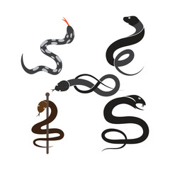 Obraz premium Caduceus snake icons