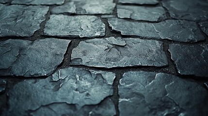 Closeup of a dark stone pathway.