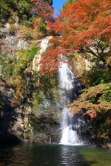 Japan, Osaka Prefecture, Minoh City, Autumn leaves