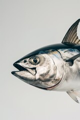 Elegant Tuna Fish: Simple and Detailed Profile Against White Backdrop