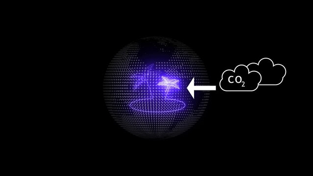 In plants, carbon dioxide is stored in the plant roots and the atmosphere loads the roots with carbon dioxide. CO2 converts in O2.