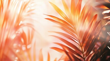 Fototapeta premium Abstract tropical summer background with warm sunbeams and soft glowing light effects, isolated on white
