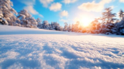 A serene winter morning showcases a blanket of fresh snow covering the ground as the sun rises, casting a warm glow over the tranquil landscape dotted with snow-laden trees