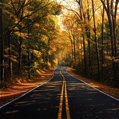 Fototapeta premium A Serene Autumn Drive Exploring the Beauty of Fall Foliage Along the Open Road