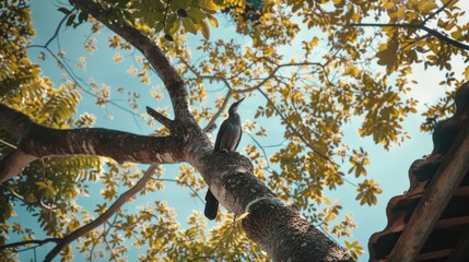 A Bird Perched on a Branch, Looking Up at the Blue Sky