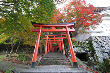 有子山稲荷神社の鳥居