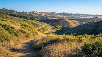 A winding dirt path leads through a scenic valley with rolling hills,  golden grasses and a distant view of a blue ocean.