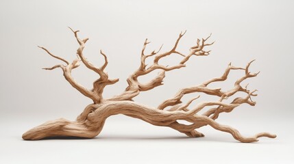 Fototapeta premium Elegant Macro View of Curved Dried Tree Branch on White Background - Minimalist Tranquility and Natural Beauty Concept
