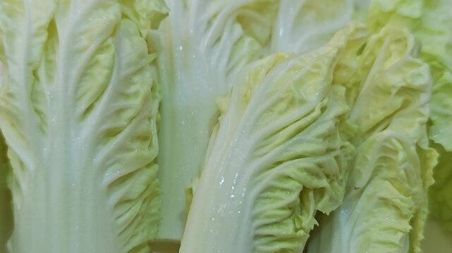 Chinese cabbage in the market
