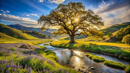 A Serene Landscape with a Solitary Tree Standing Tall by a Winding River, Basking in the Golden Light of a Setting Sun, Its Branches Reaching Up to the Sky, Casting Long Shadows on the Grassy Hills