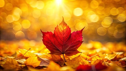 A Single Crimson Leaf Stands Out Amidst a Carpet of Golden Autumn Foliage, Bathed in the Warm Glow of a Setting Sun