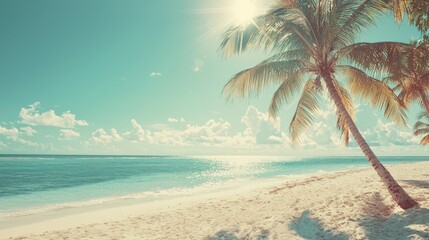 Obraz premium Tropical Sandy Ocean Beach with Palm Trees