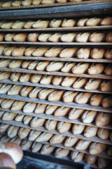 Delicious Freshly Baked Bread Loaves Displayed on Racks in a Cozy Bakery Environment
