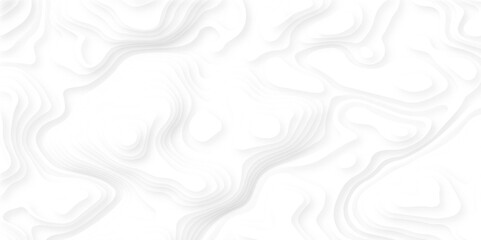 White papercut banner of gradient white paper layers. Modern and trendy background. Abstract design with wave shapes in a paper cut style. Vector art