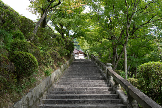 Traditional Japanese Temple Amidst Scenic Natural Landscape, Showcasing the Harmony Between Ancient Architecture and Peaceful Surroundings - Powered by Adobe