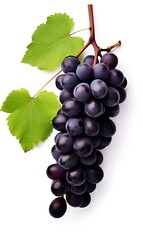 Fototapeta premium Black grapes with leaf fruit isolated on white background