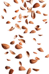 Nuts flying isolated on white or transparent background