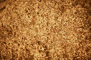 Carpenter, sawdust and wood shavings on floor of workshop for woodworking, building and furniture. Texture, insulation and material with above of mulch as background for lumber, interior and crafting