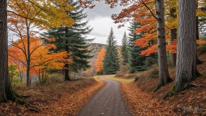 Fototapeta premium forest scene during autumn. The image features a narrow, winding path covered with fallen leaves, leading into the distance. On either side of the path