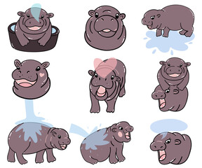 cute baby pygmy hippo bouncy pig cartoon character collection Set

