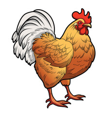 hen male cartoon vector isolated