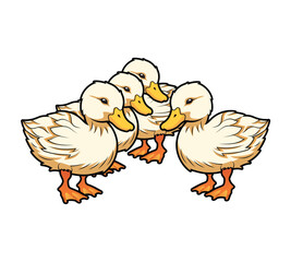 white ducks cartoon vector isolated