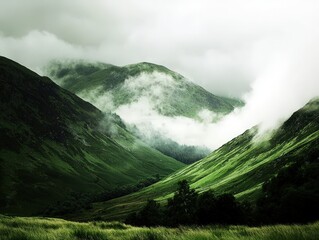 Mystical fog envelops green hills in a serene valley during a cloudy morning