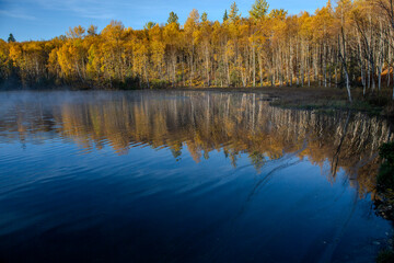 autumn trees reflected in water
