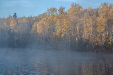 Fototapeta premium autumn in the forest