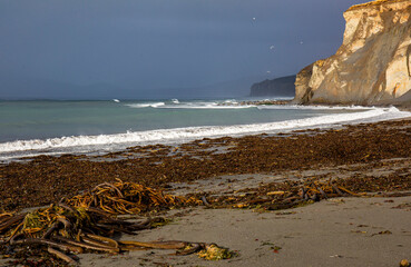 beach and sea in Kodiak, Alaska