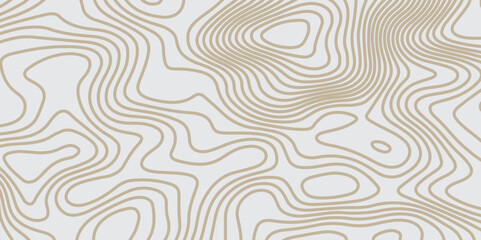 Abstract Topographic background White & Blank  Topographic Simple Map Design  

