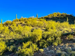 Fotobehang Oranje Arizona Desert Landscapes  © markh2os