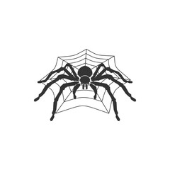 Spider Logo with Web Background Simple Minimalist Design 