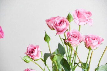 ピンクのスプレーばら