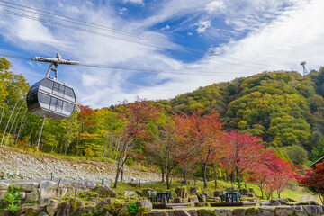紅葉の新穂高ロープウェイ（岐阜県高山市奥飛騨温泉郷）