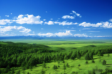 Fototapeta premium landscape