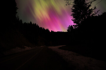 Stunning Northern Lights Over Serene Forest Landscape