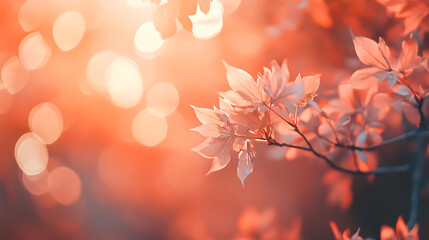 Fototapeta premium Autumn Leaves with Soft Bokeh Background