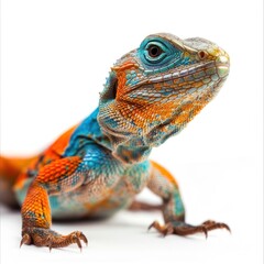 Obraz premium Close-up of a Vibrant Blue, Orange, and Green Lizard